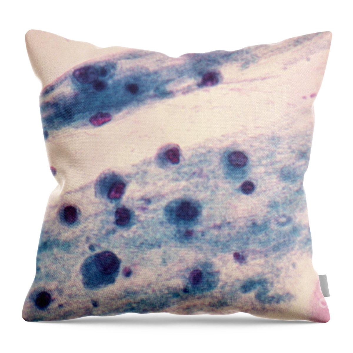 Medical Throw Pillow featuring the photograph Pap Smear, Nucleated Yeast by Science Source