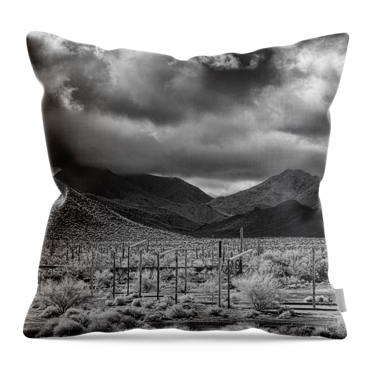 Papago Throw Pillow featuring the photograph Papago Reservation by Hugh Smith