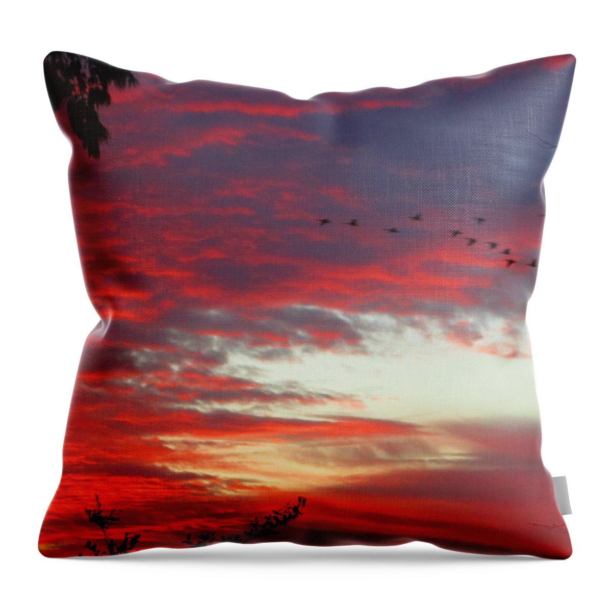 Peach Throw Pillow featuring the photograph Papaya Colored Sunset with Geese by Kym Backland