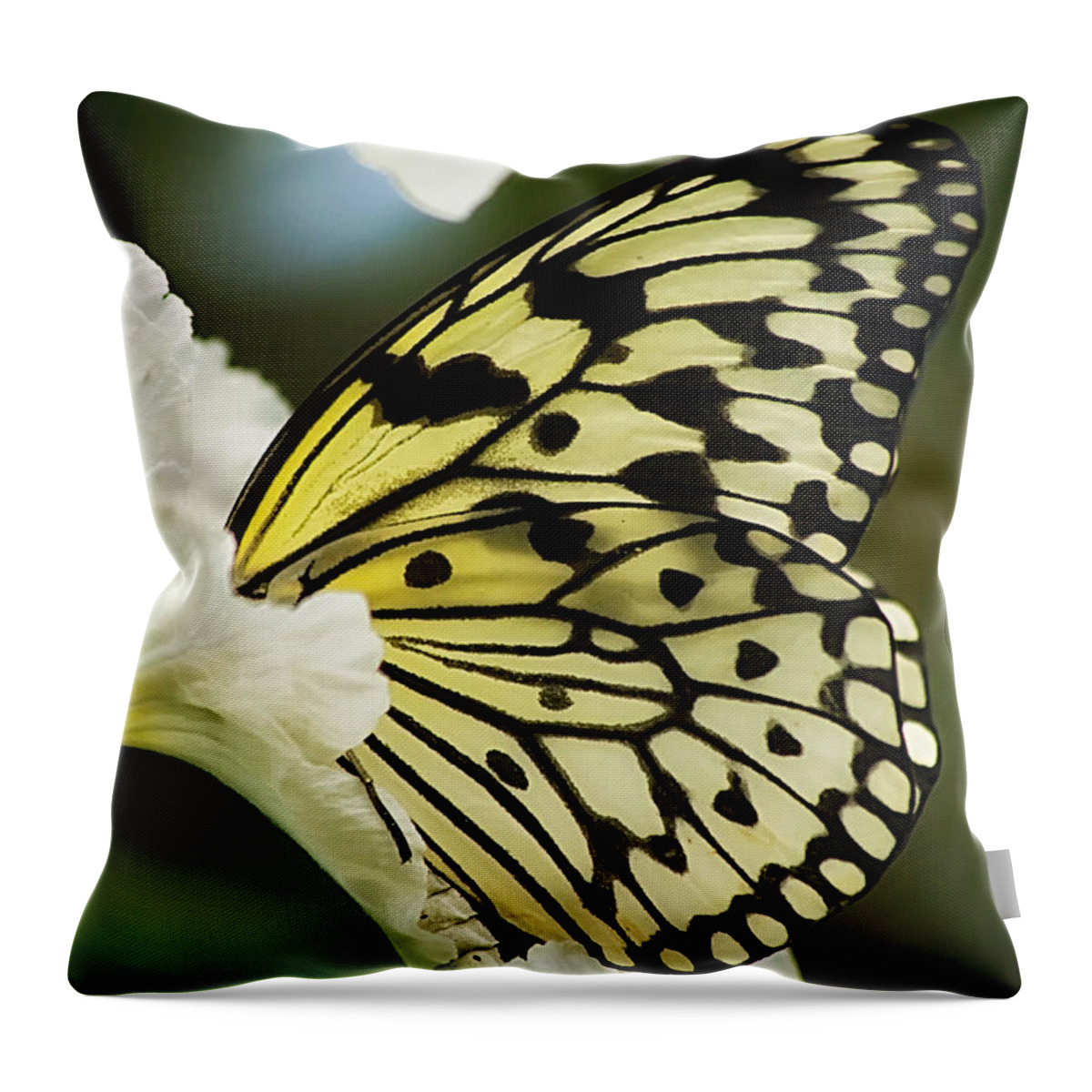 Nature Throw Pillow featuring the photograph Paper Kite Butterfly 2 by Linda Tiepelman