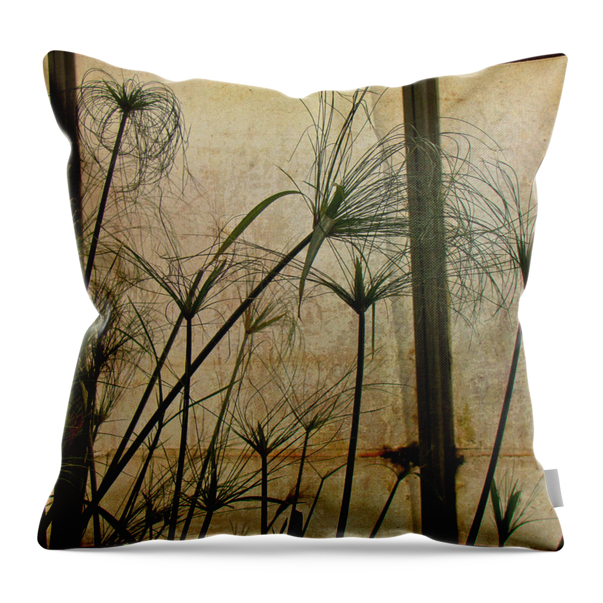 Papyrus Throw Pillow featuring the photograph Papyrus by Carol Senske