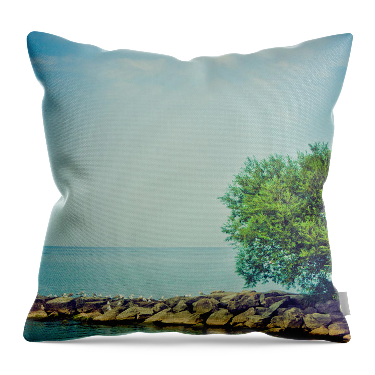 Beach Throw Pillow featuring the photograph Paradise Cove by Sara Frank
