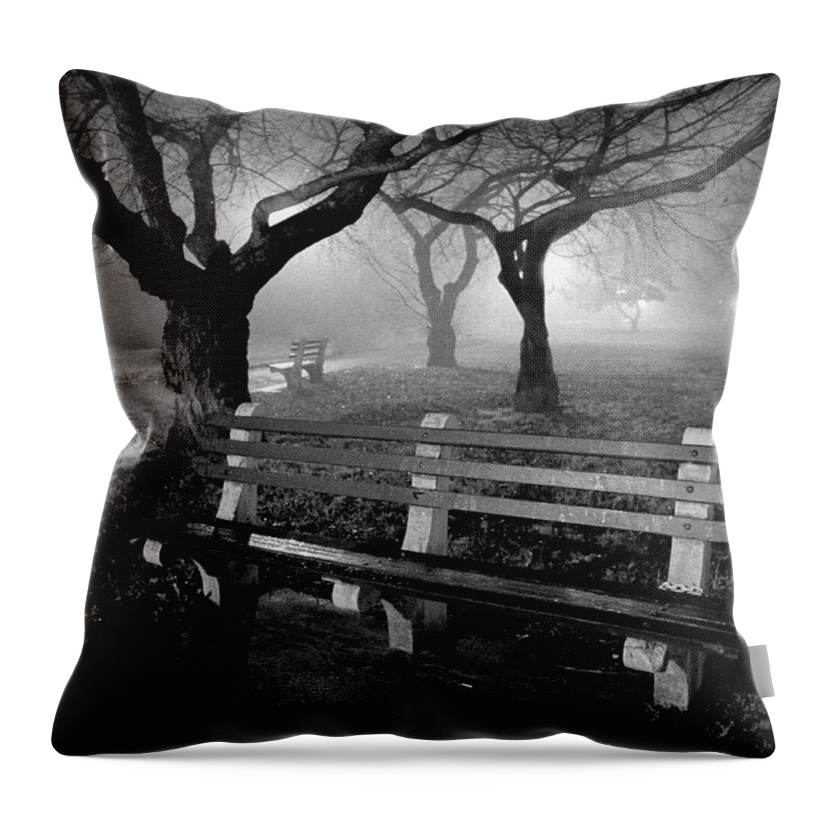 Foggy Throw Pillow featuring the photograph Park Benches by Gary Heller