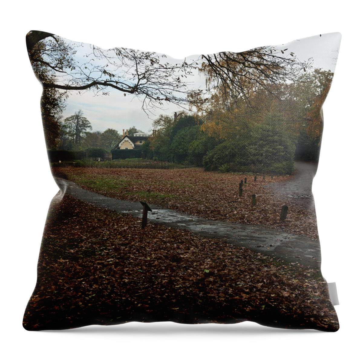 Richmond Park Throw Pillow featuring the photograph Park Cottage 2 by Maj Seda