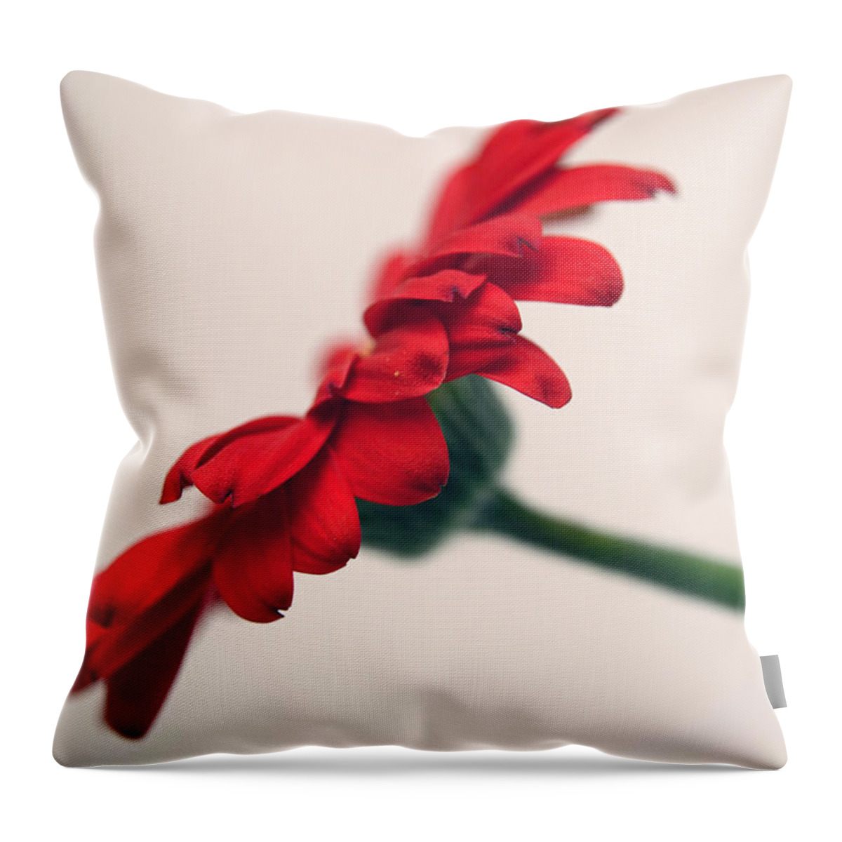 Gerbera Daisy Throw Pillow featuring the photograph Passions Voice by Melanie Moraga