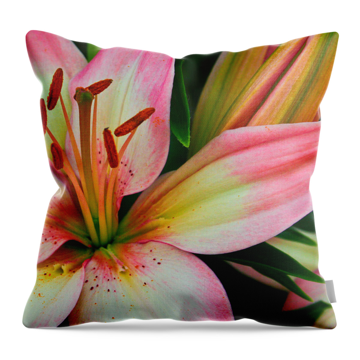 Floral Throw Pillow featuring the photograph Pastel Pretty by Lynne Jenkins