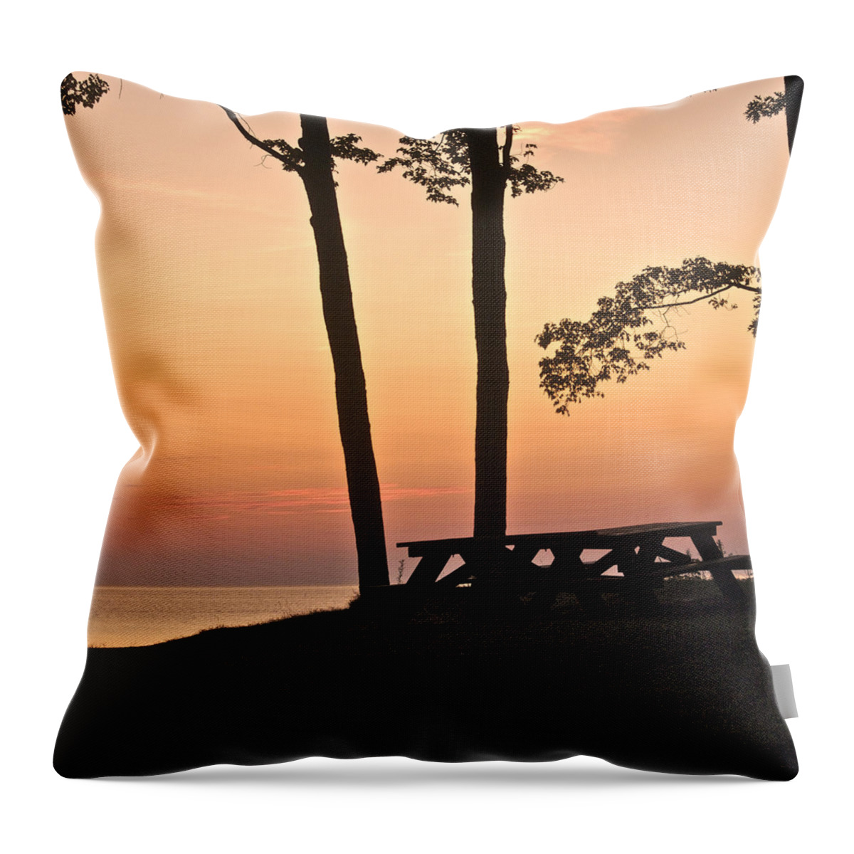 Landscape Throw Pillow featuring the photograph Peaceful Evening Picnic 7109 by Michael Peychich