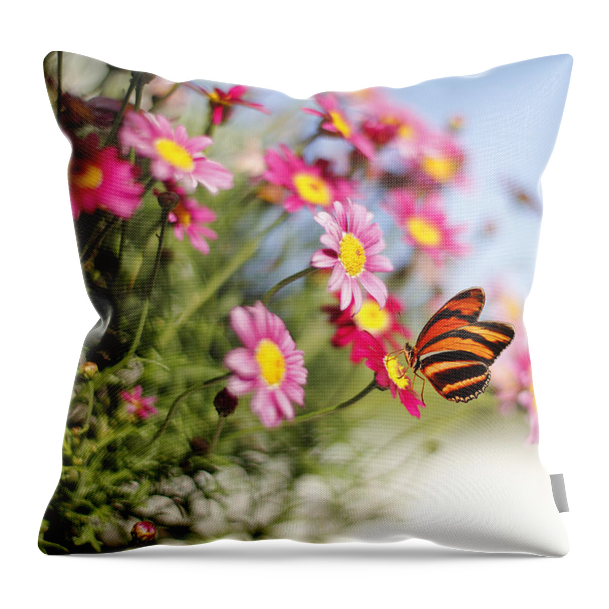 Butterfly Throw Pillow featuring the photograph Peaceful Feeling by Susan Gary