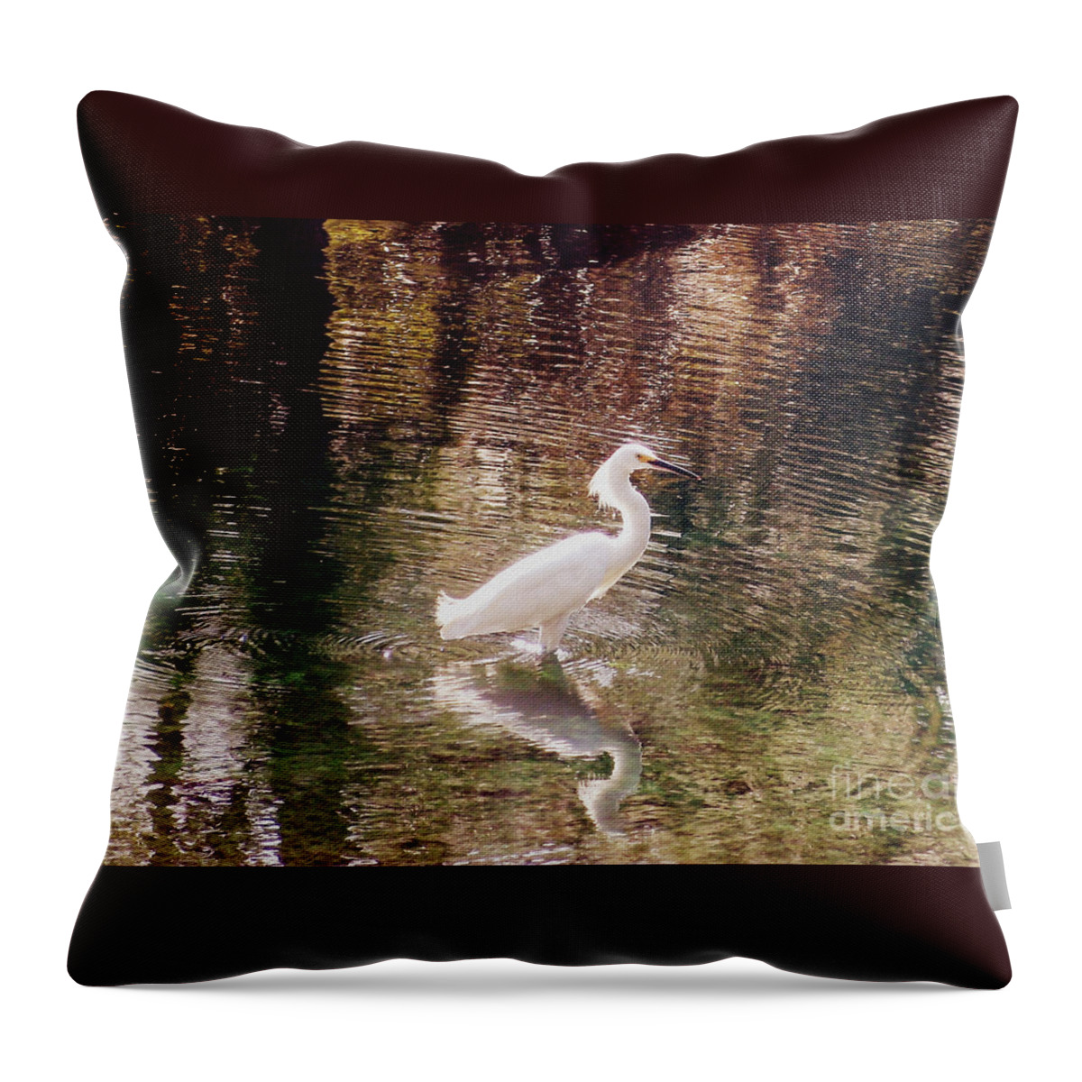 Egret Throw Pillow featuring the photograph Peaceful Waters by Lydia Holly