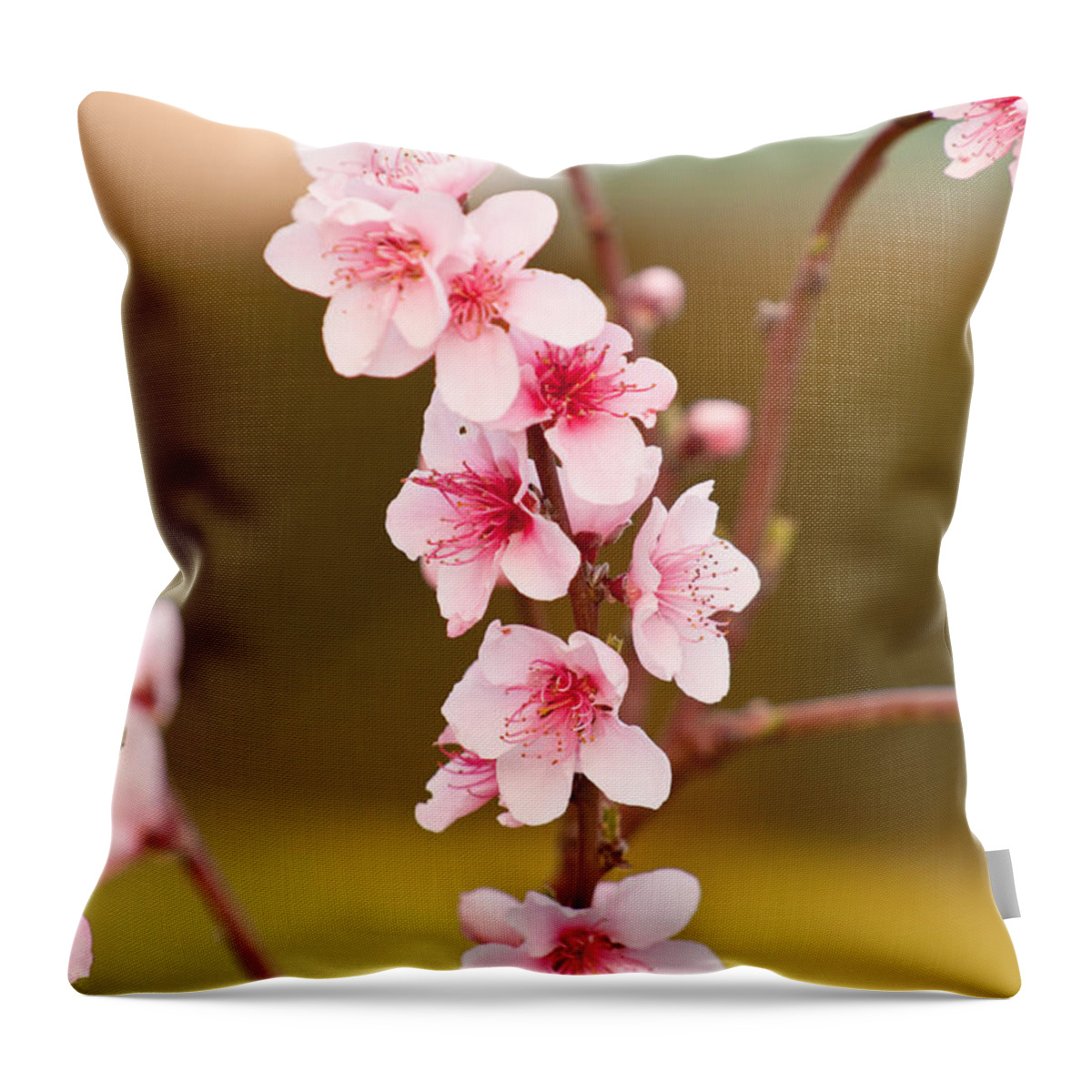 Peaches Throw Pillow featuring the photograph Peach Blossoms by Michelle Wrighton