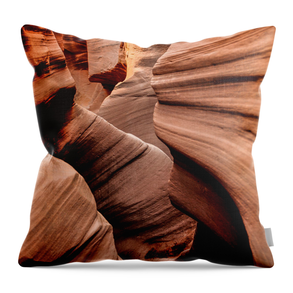 Outdoor Throw Pillow featuring the photograph Peek a Boo by Chad Dutson