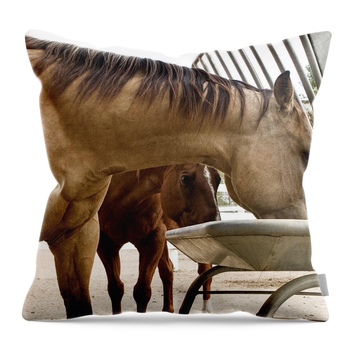 Pony Throw Pillow featuring the photograph Peeking Pony by Lorraine Devon Wilke