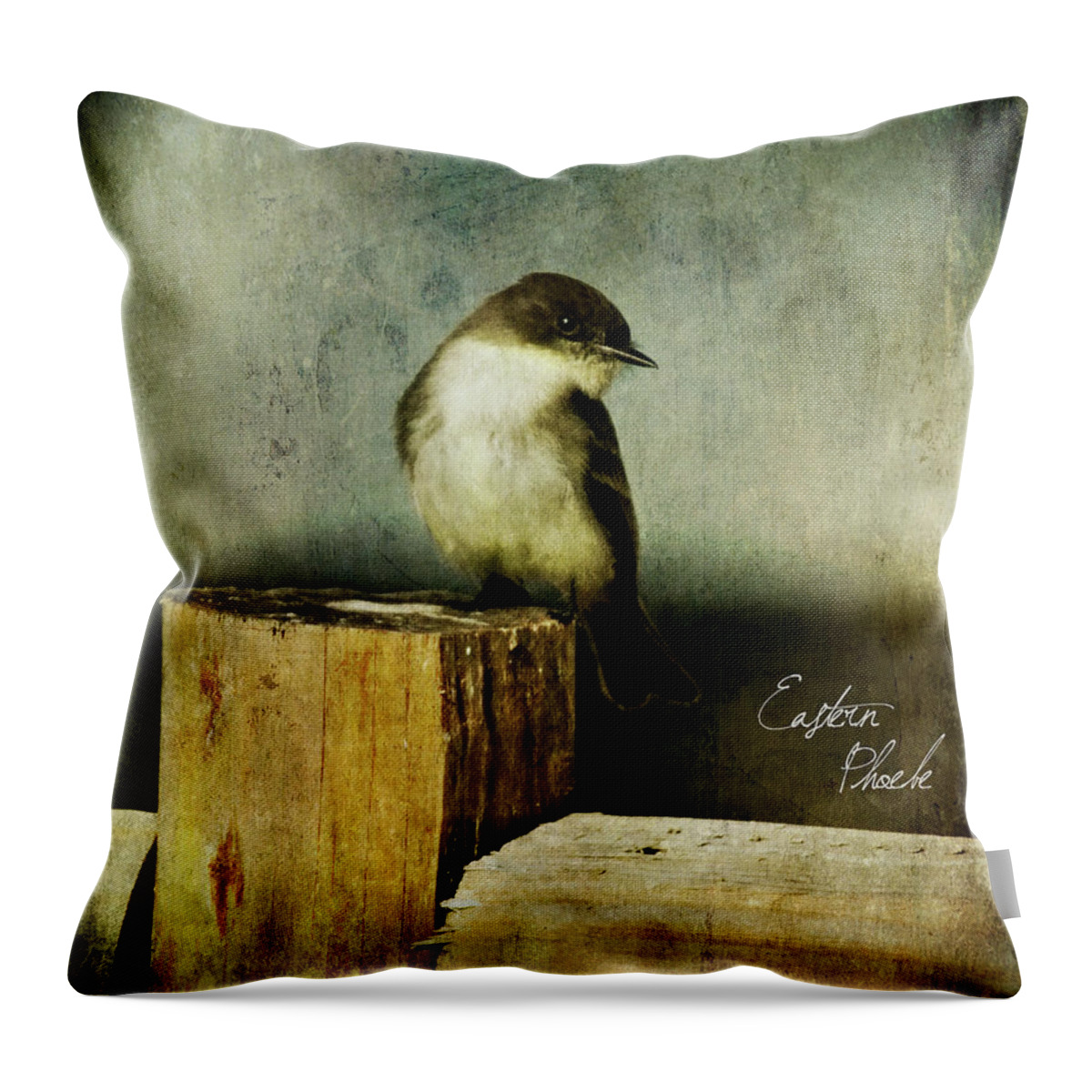 Bird Throw Pillow featuring the photograph Perched Phoebe by Lana Trussell