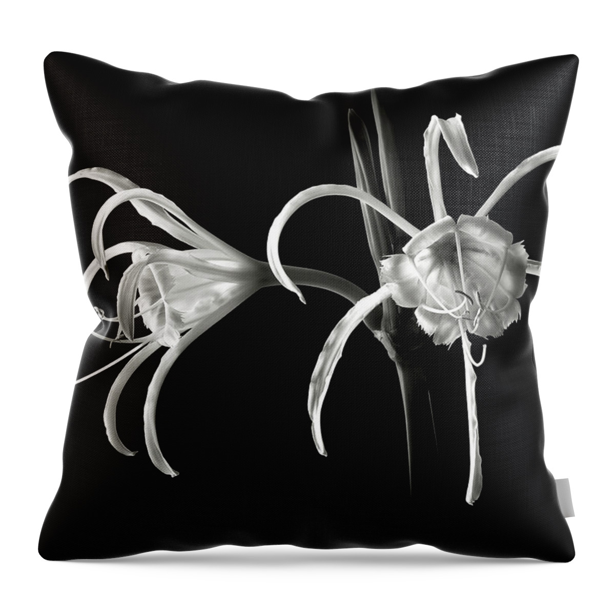 Flower Throw Pillow featuring the photograph Peruvian Daffodil in Black and White by Endre Balogh