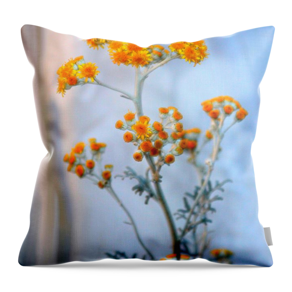 Petite Throw Pillow featuring the photograph Petite Bursts of Sunshine by Patrick Witz