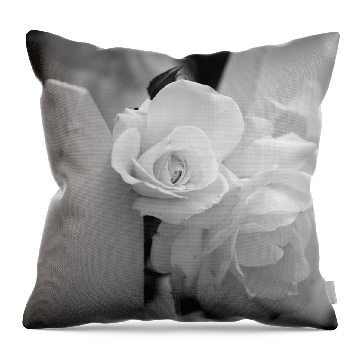 Black & White Throw Pillow featuring the photograph Picket Rose by Peter Tellone