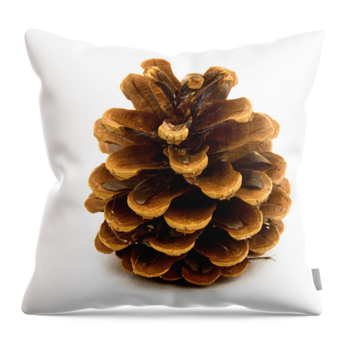 Pine Cone Throw Pillow featuring the photograph Pine cone by Jean Noren
