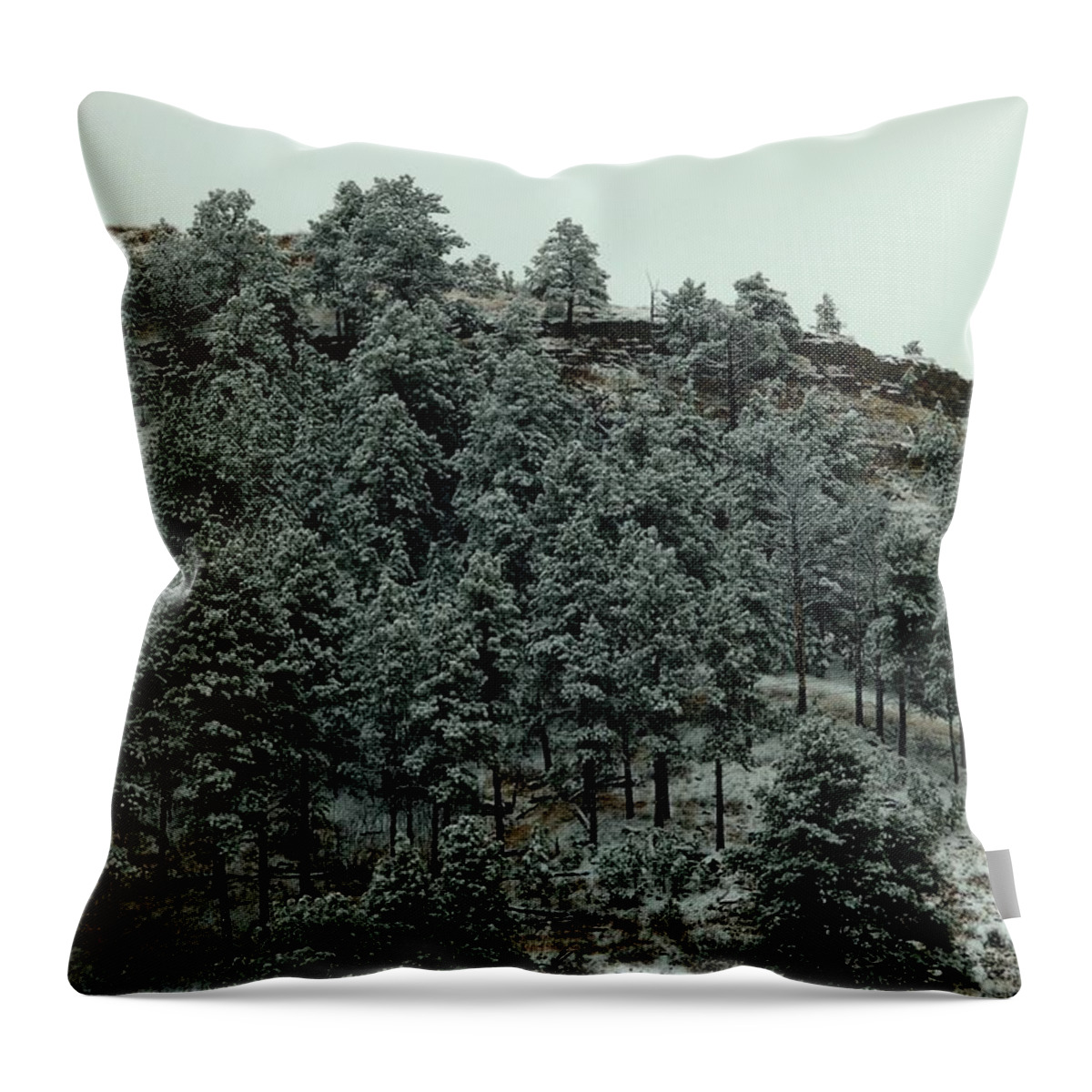 Dakota Throw Pillow featuring the photograph Pines in White by Greni Graph