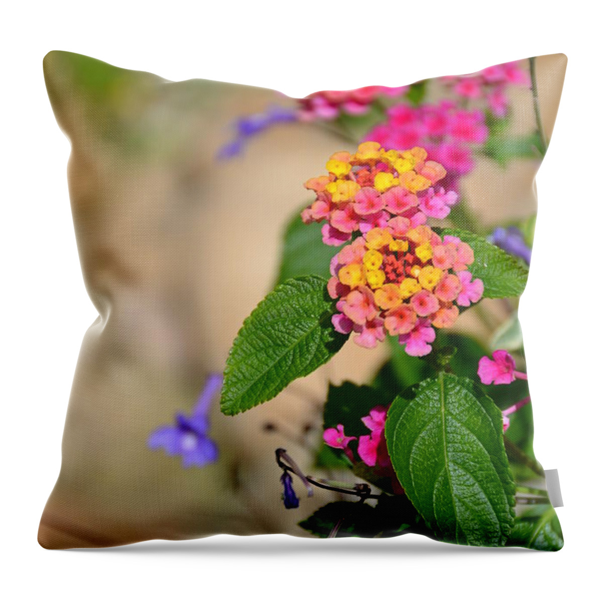 Flower Throw Pillow featuring the photograph Pink and Yellow by Bonnie Myszka
