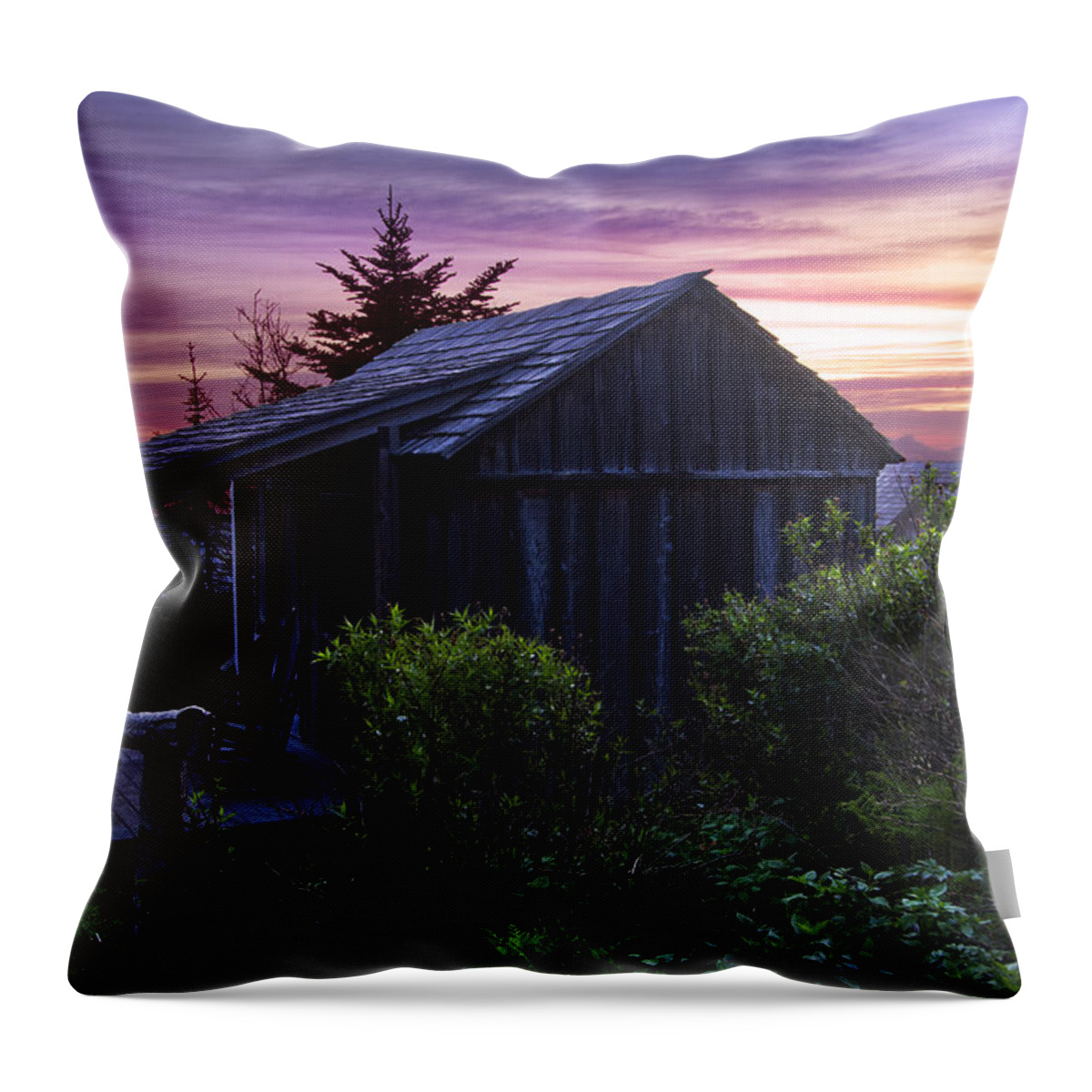 American Throw Pillow featuring the photograph Pink Dawn by Debra and Dave Vanderlaan