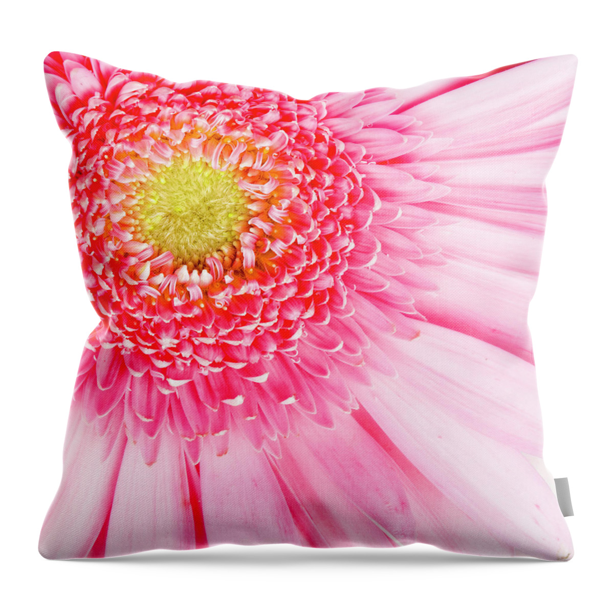 Pink Throw Pillow featuring the photograph Pink Delight II by Tamyra Ayles