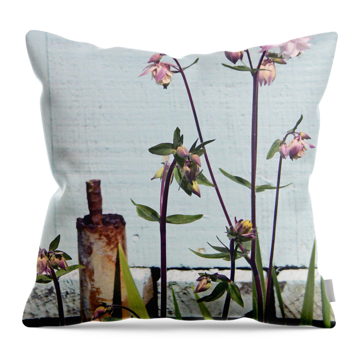 Columbine Plant Throw Pillow featuring the photograph Pink Doves by Pamela Patch