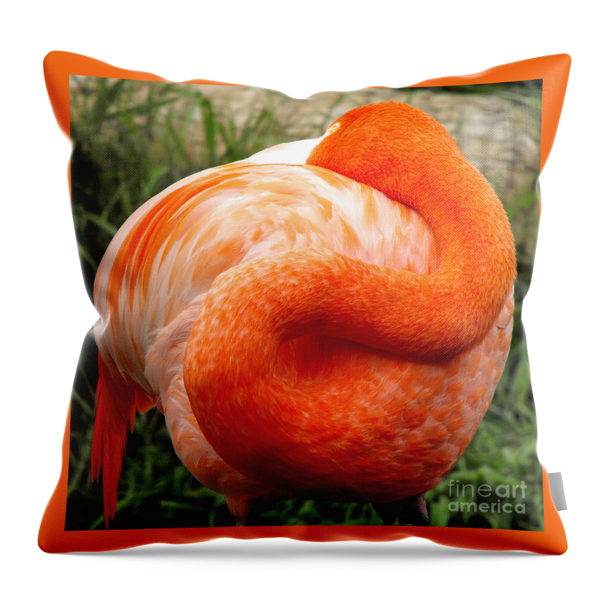 Flamingo Throw Pillow featuring the photograph Pink Flamingo sleep by Rebecca Margraf