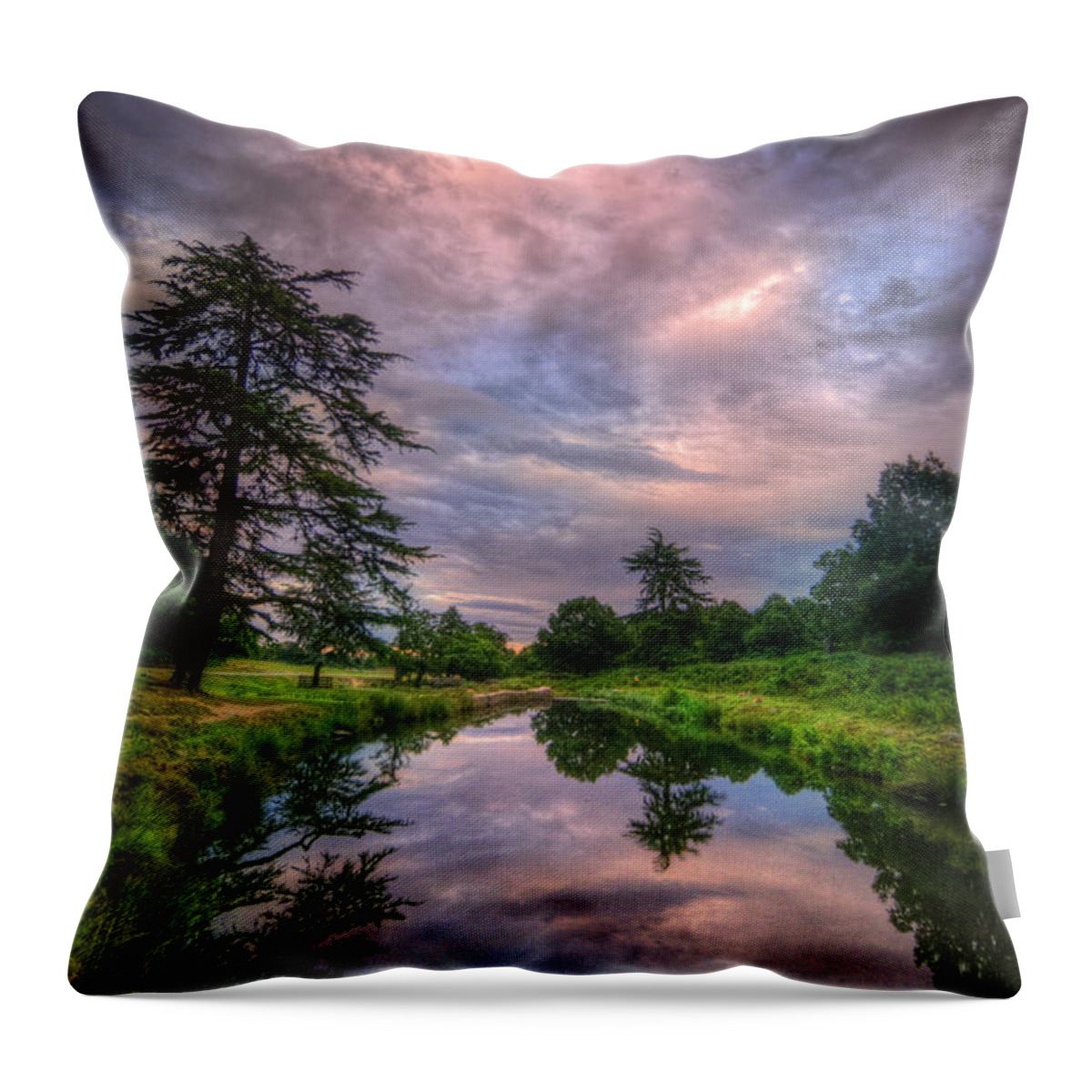 Landscape Throw Pillow featuring the photograph Pink Flow by Yhun Suarez