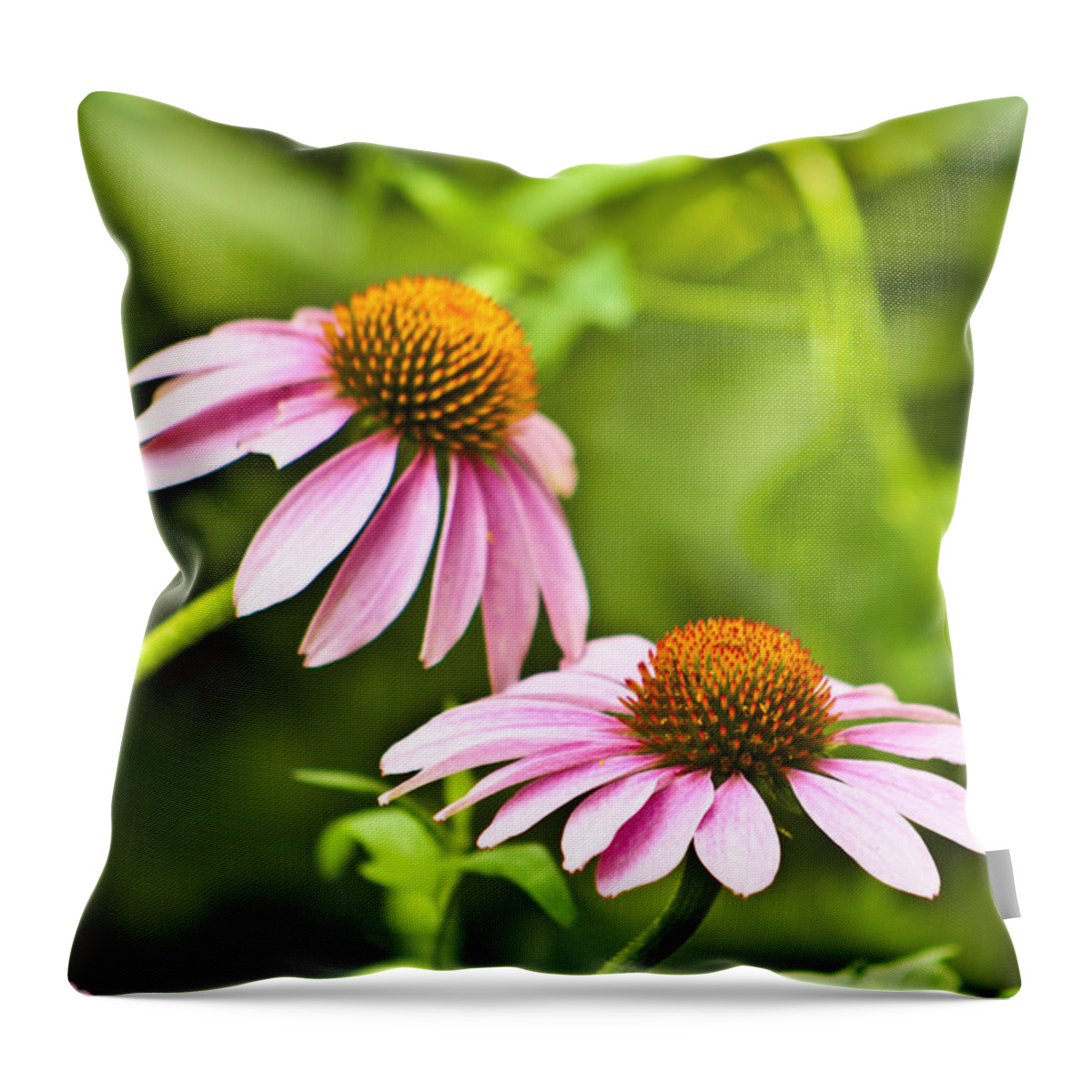 Flowers Throw Pillow featuring the photograph Pink Flowers by Scott Wood