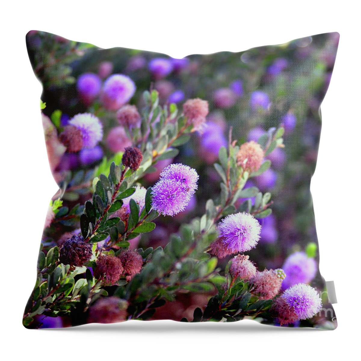 Clay Throw Pillow featuring the photograph Pink Fuzzy Balls by Clayton Bruster