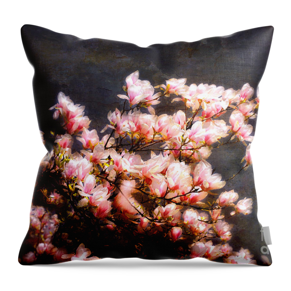 Flower Throw Pillow featuring the photograph Pink Magnolias by Elaine Manley
