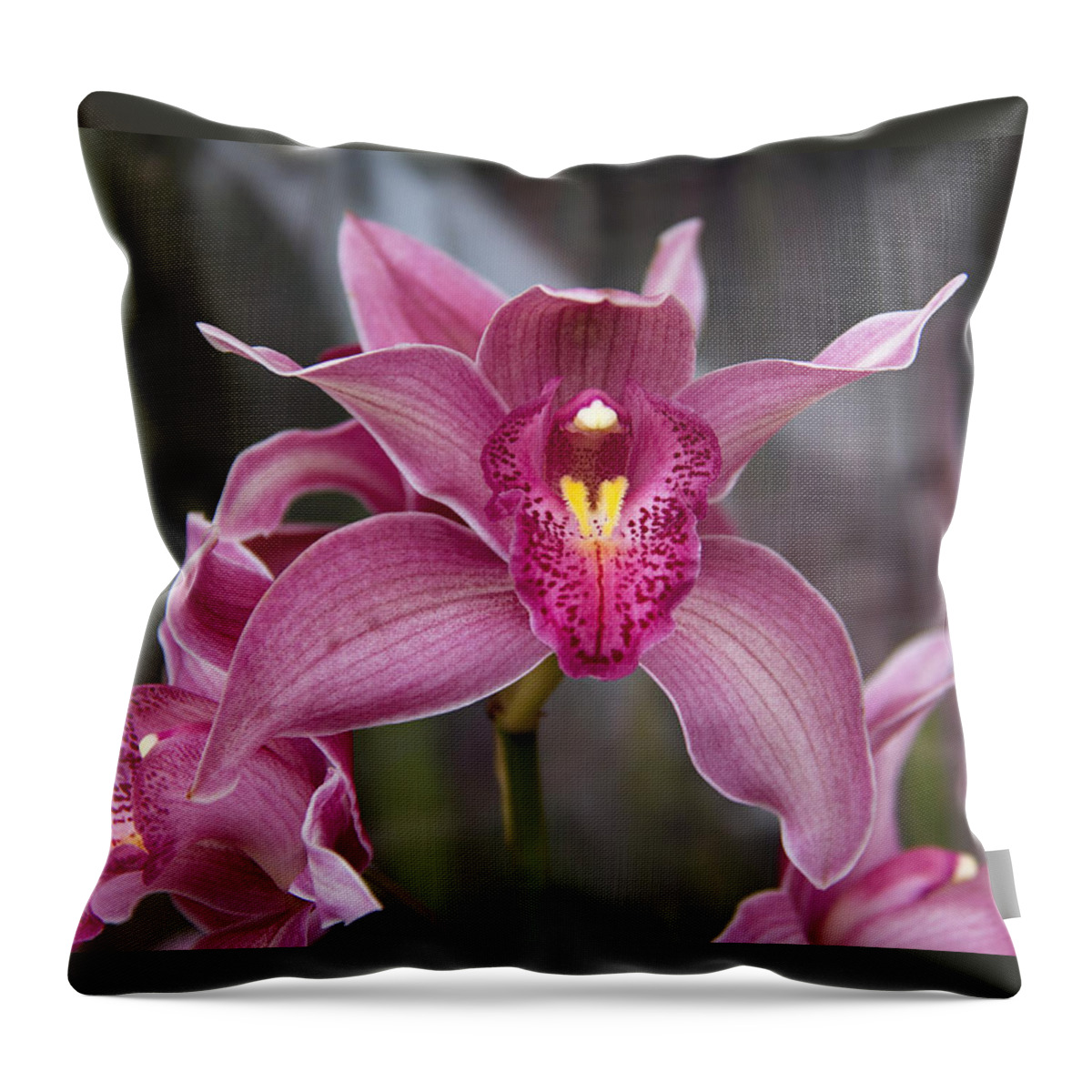 Orchid Throw Pillow featuring the photograph Pink Orchid by Raffaella Lunelli