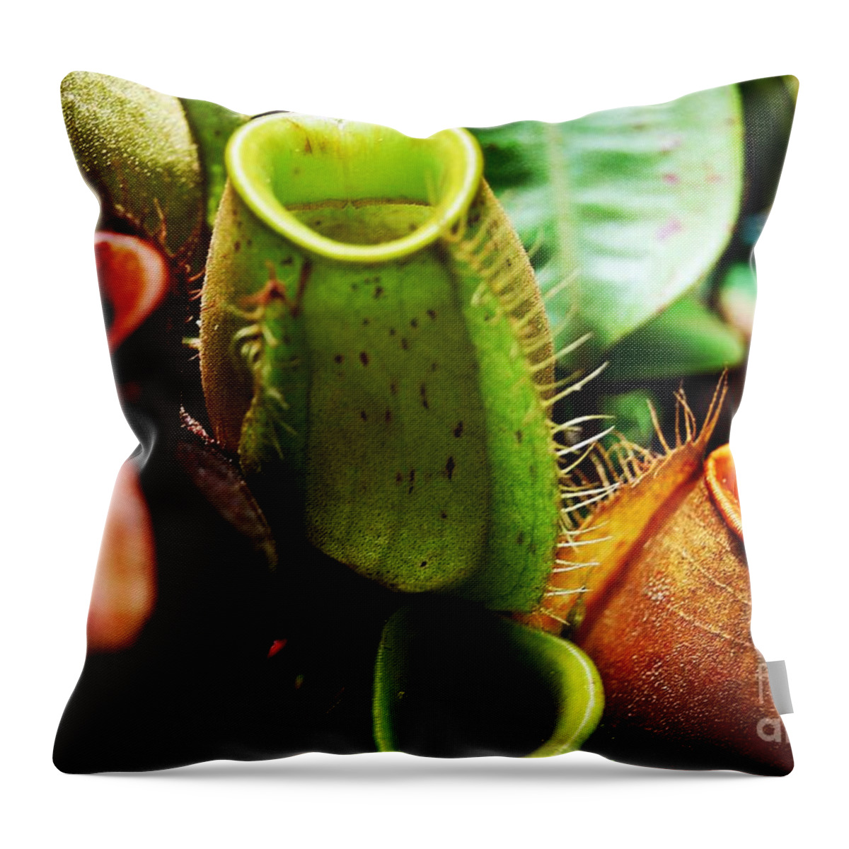 Pitcher Plant Cluster Throw Pillow featuring the photograph Pitcher Plants by Angela Murray