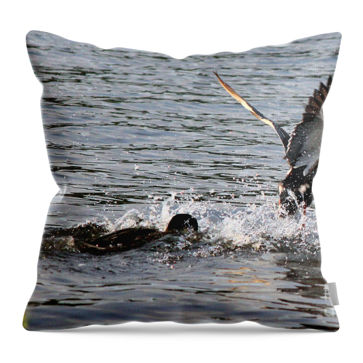 Ducks Throw Pillow featuring the photograph Playing Chase by Kathy White