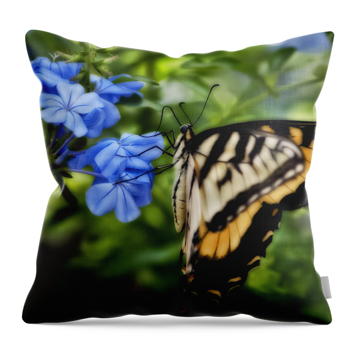 Plumbago Throw Pillow featuring the photograph Plumbago and Swallowtail by Steven Sparks