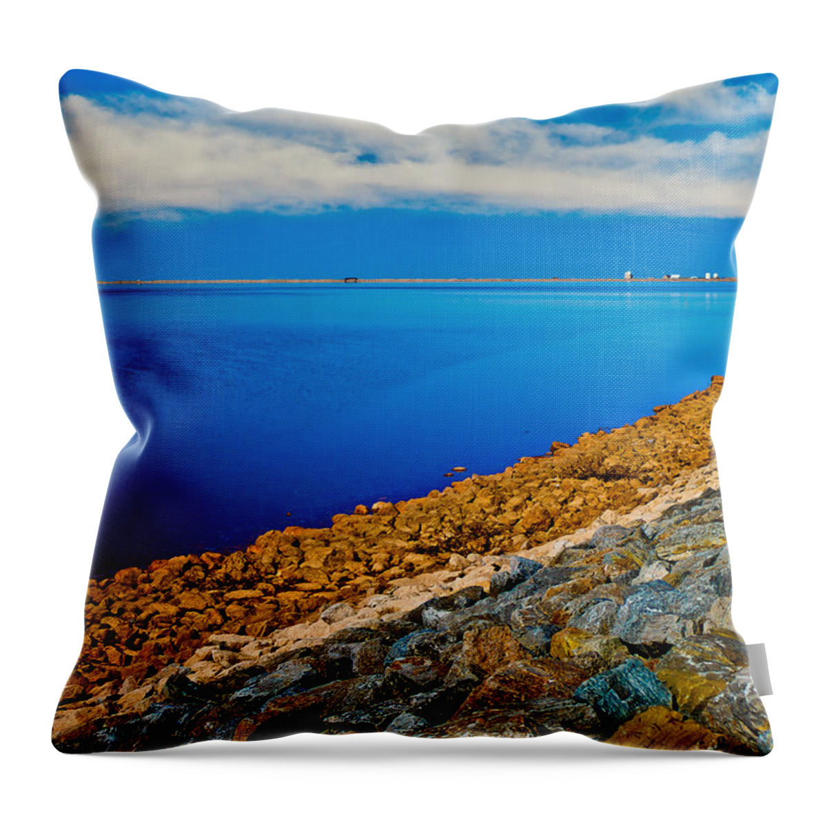 Cloudy Throw Pillow featuring the photograph Point of View by Doug Long