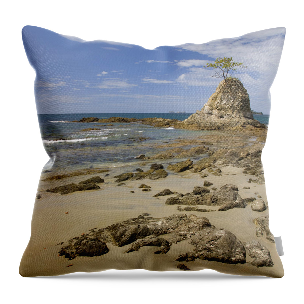 00429552 Throw Pillow featuring the photograph Point With Tree On Penca Beach Costa by Tim Fitzharris
