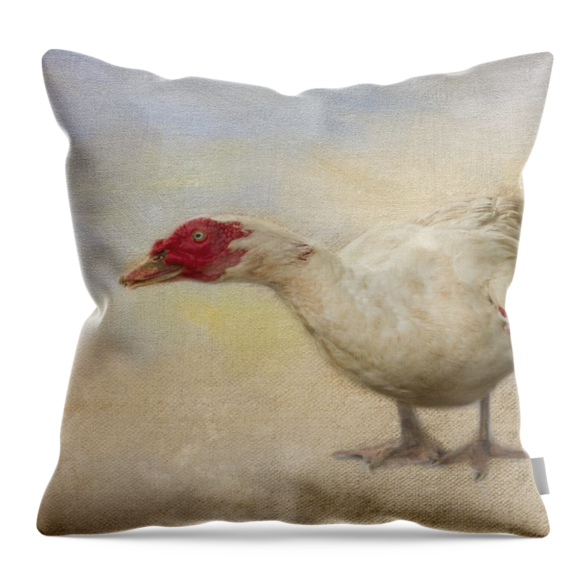 Grimsby Throw Pillow featuring the photograph Poised by Marilyn Cornwell