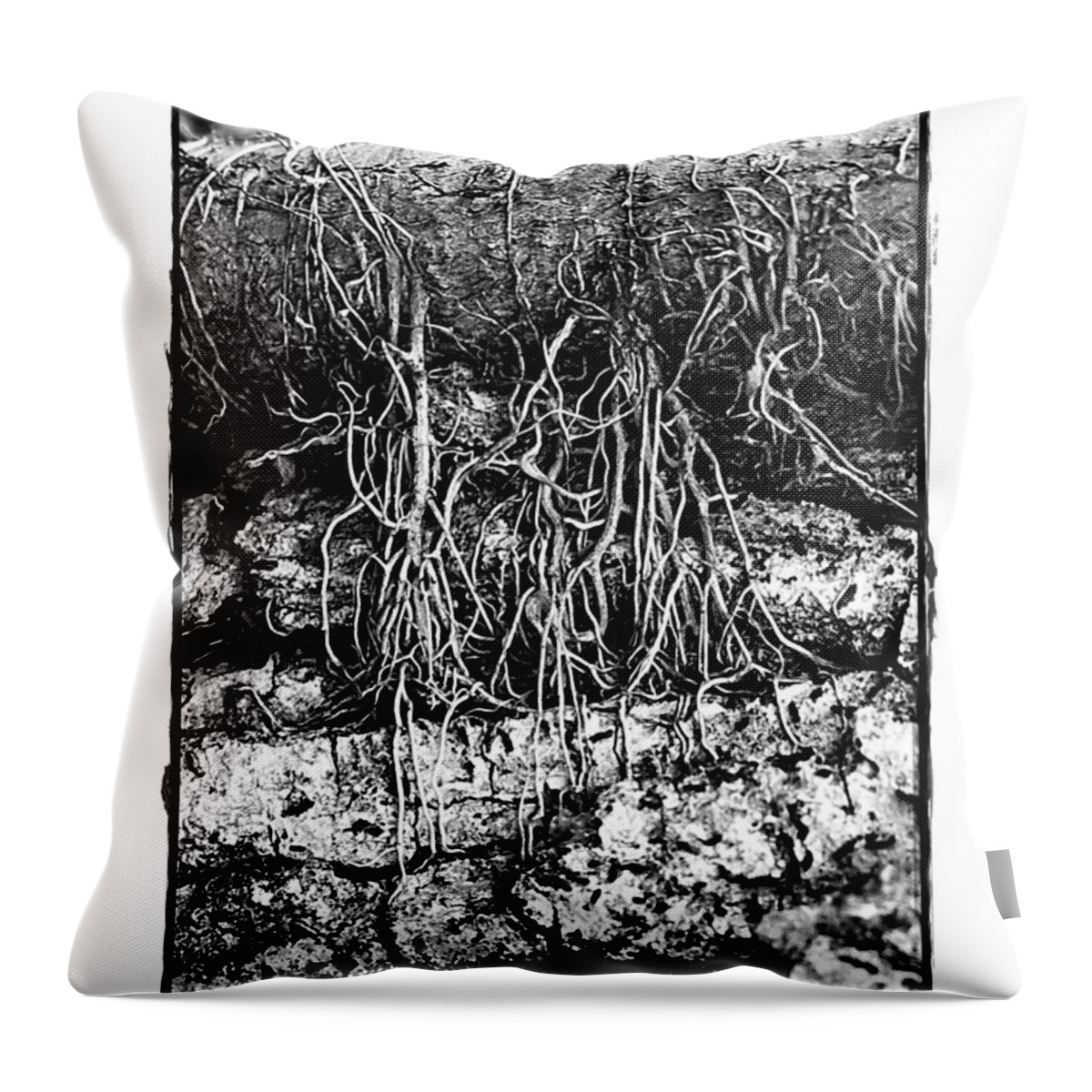 Monotone Throw Pillow featuring the photograph Poison Ivy Roots by Judi Bagwell
