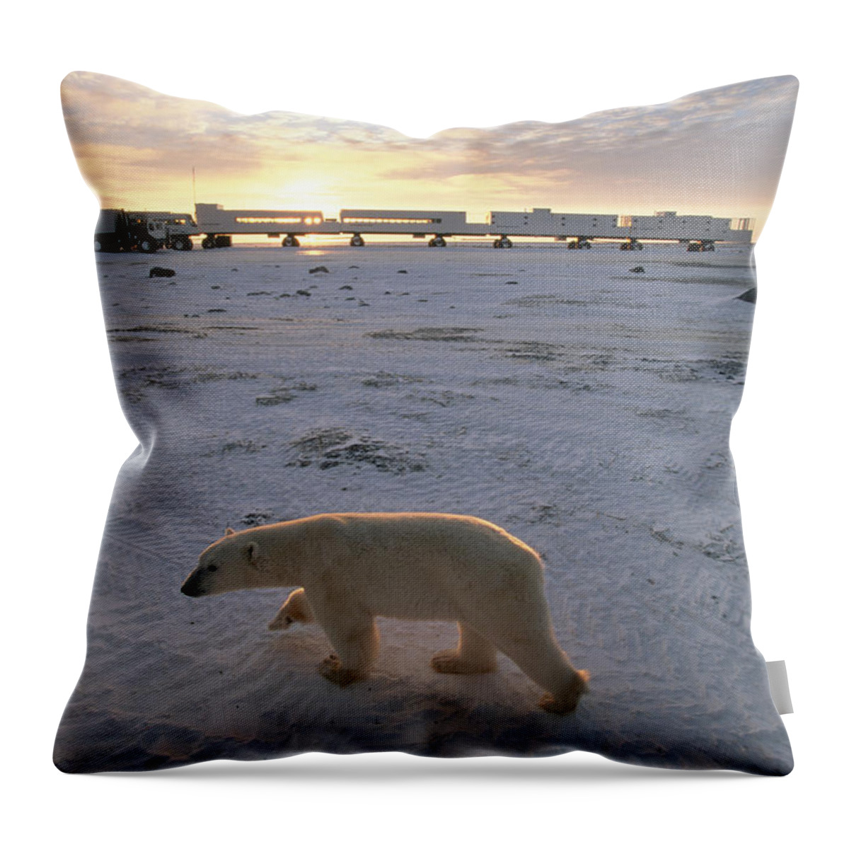 00125787 Throw Pillow featuring the photograph Polar Bear And Tundra Buggies Full by Flip Nicklin