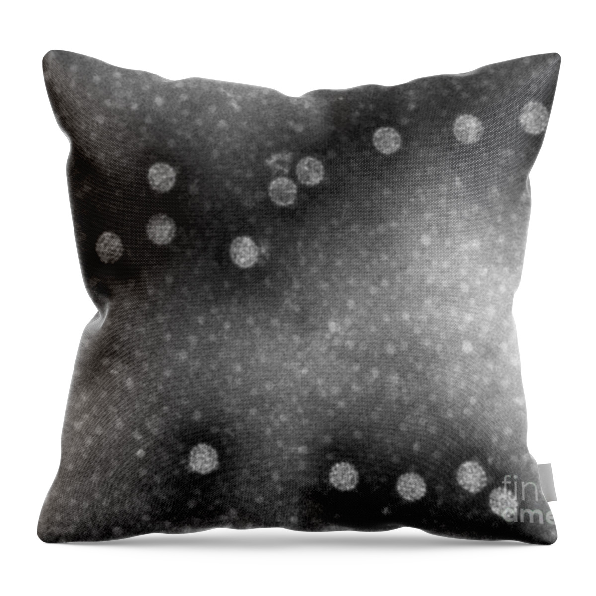 Medical Throw Pillow featuring the photograph Polyoma Virus by Omikron