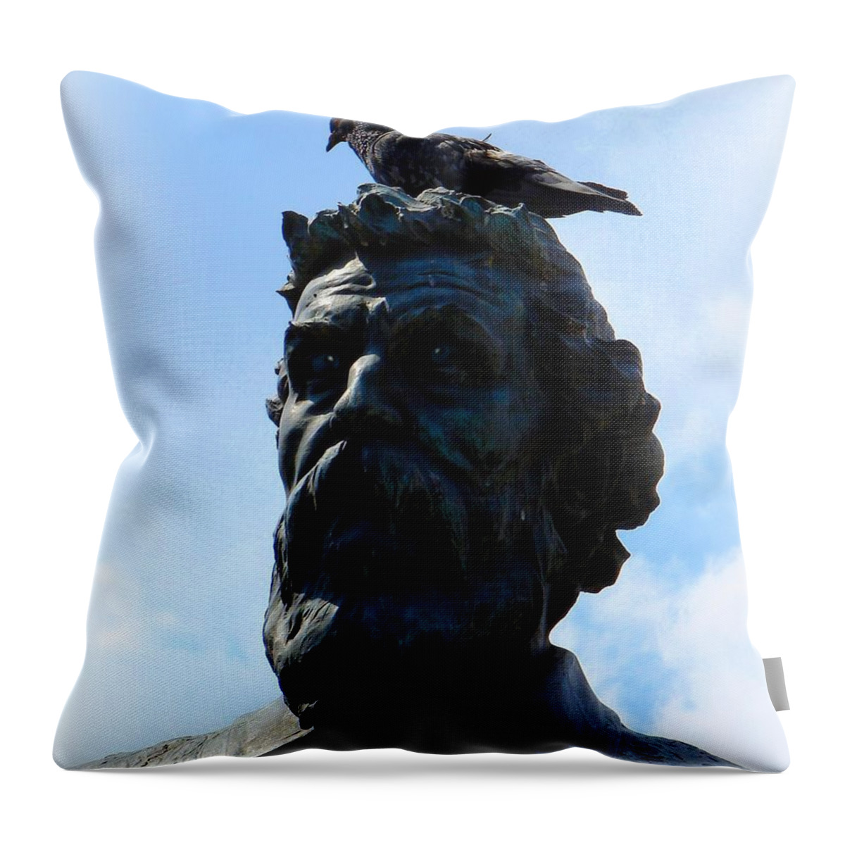 Head Throw Pillow featuring the photograph Pooped on Again by Patrick Witz