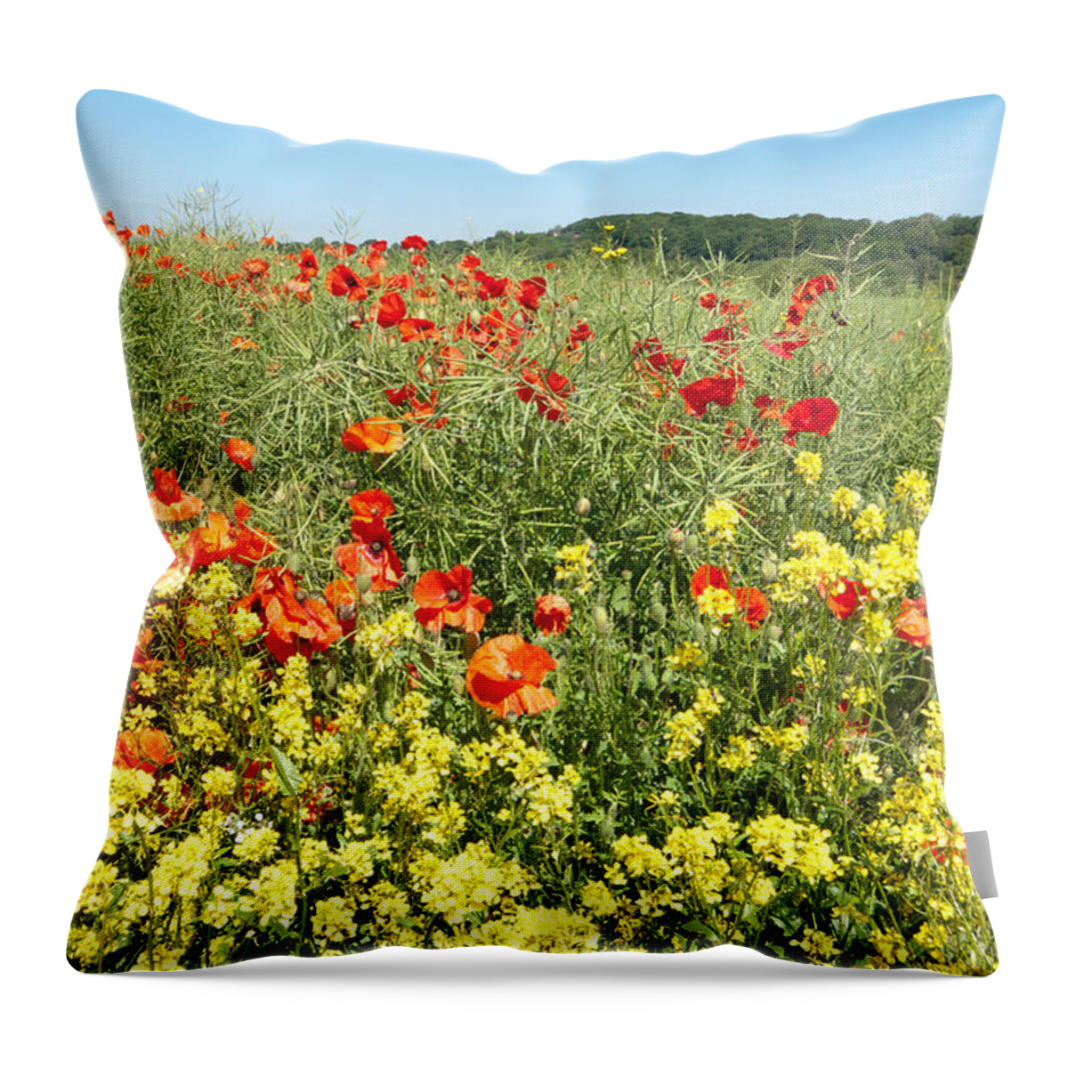 Poppies Throw Pillow featuring the photograph Poppies in Summer Meadow by David Birchall