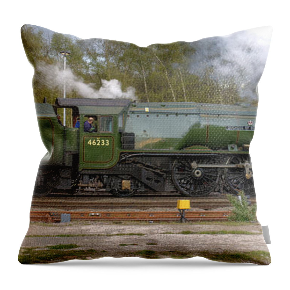 Steam Throw Pillow featuring the photograph Portrait of a Duchess by David Birchall