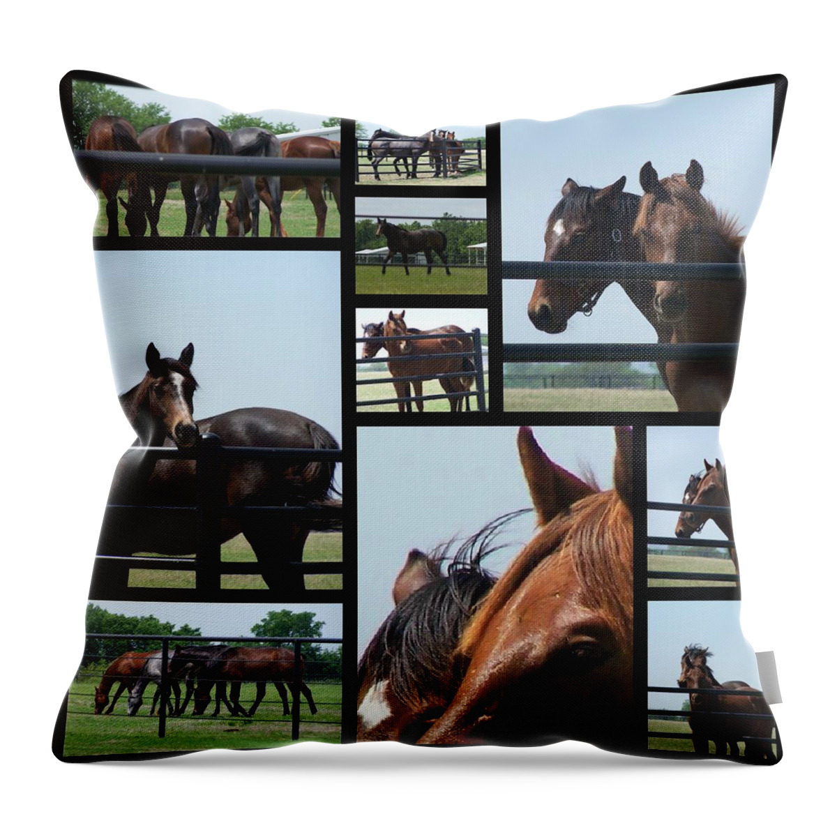 Horses Throw Pillow featuring the photograph Posers by Christy Leigh