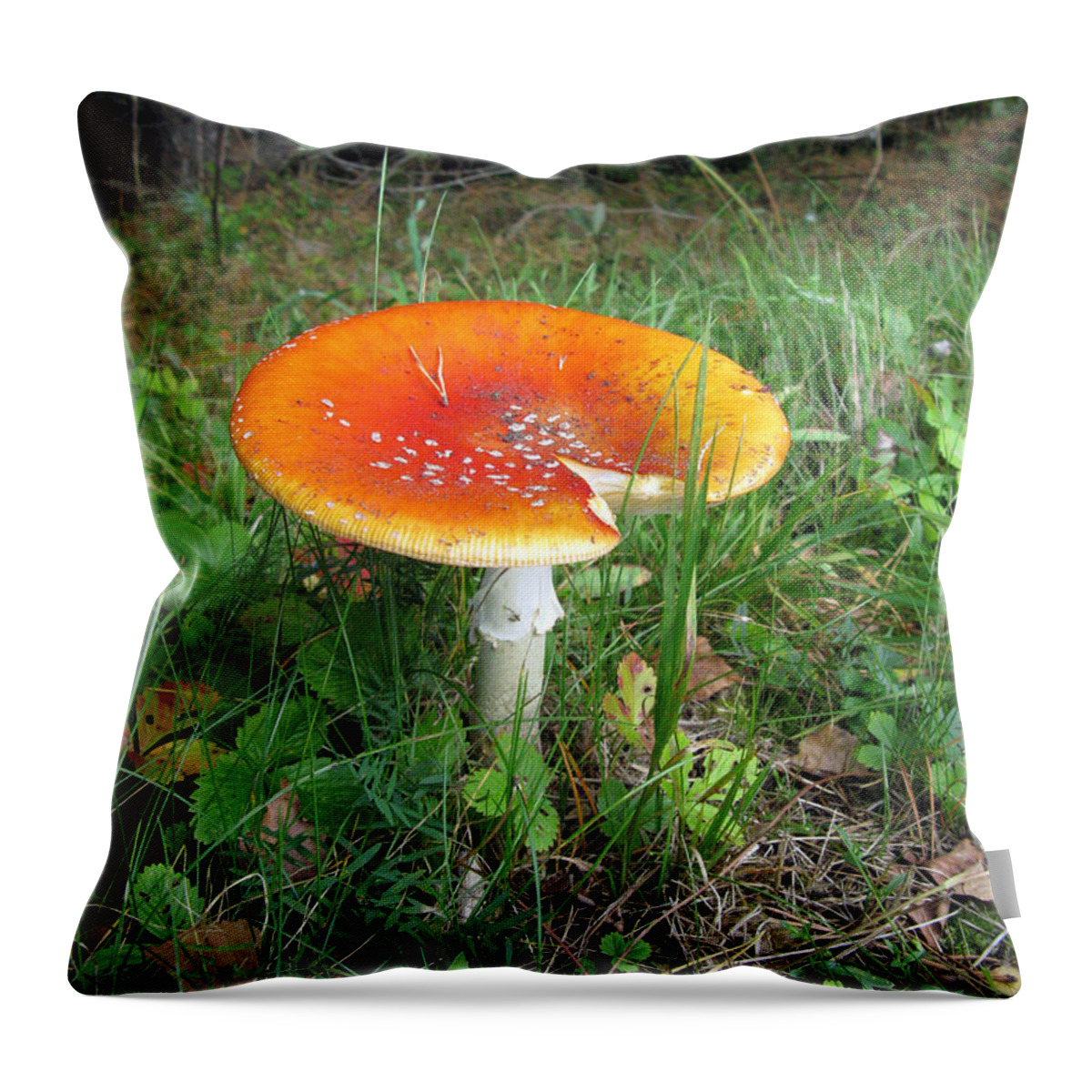 Mushroom Throw Pillow featuring the photograph Pretty But Dangerous by Ausra Huntington nee Paulauskaite