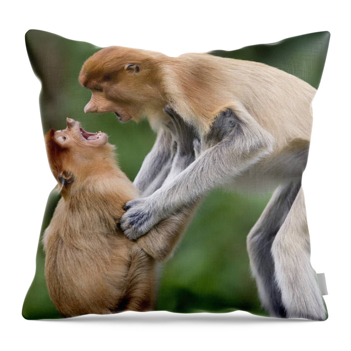 00479407 Throw Pillow featuring the photograph Proboscis Monkey Juveniles Playing by Suzi Eszterhas