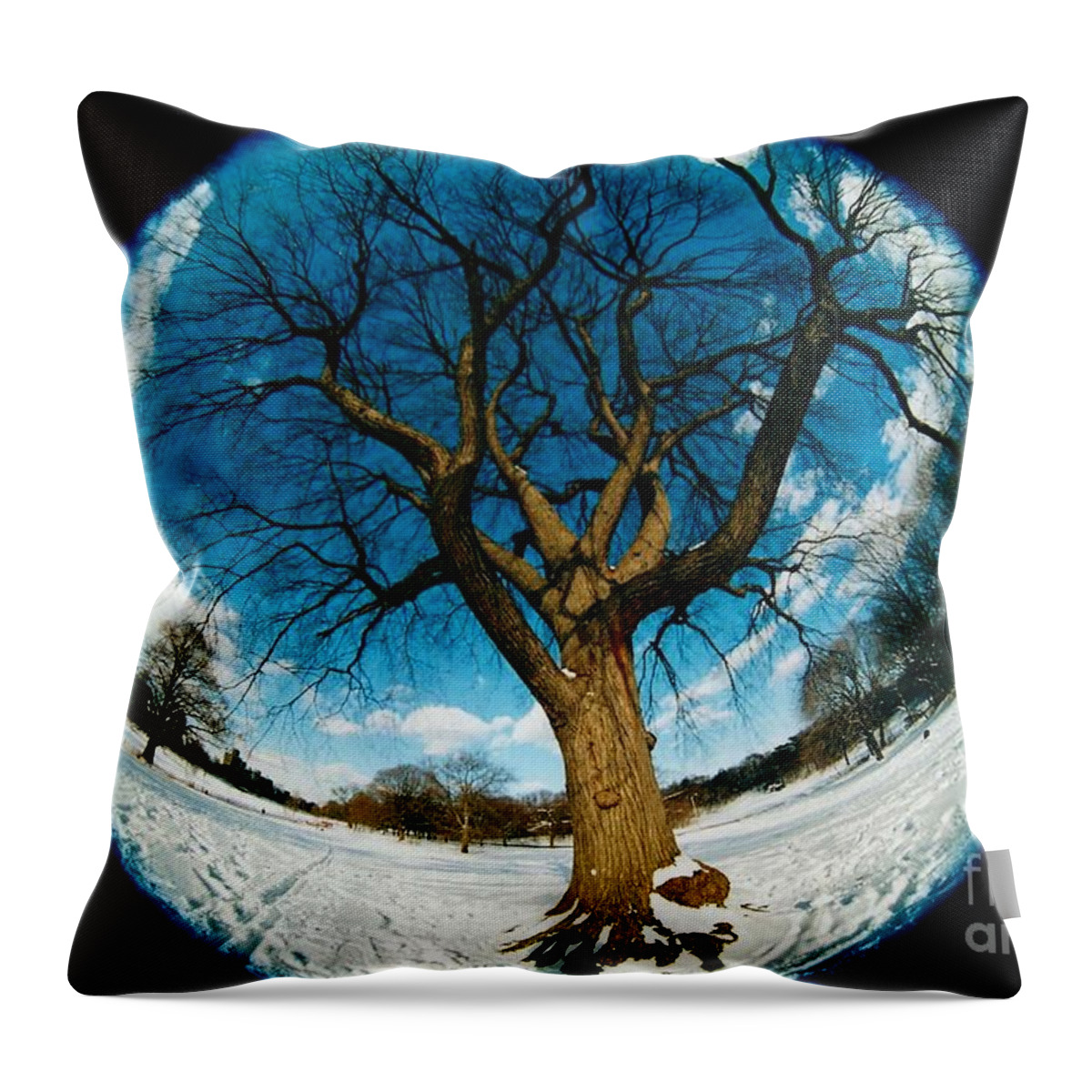 Fisheye Throw Pillow featuring the photograph Prospect Park Tree by Mark Gilman