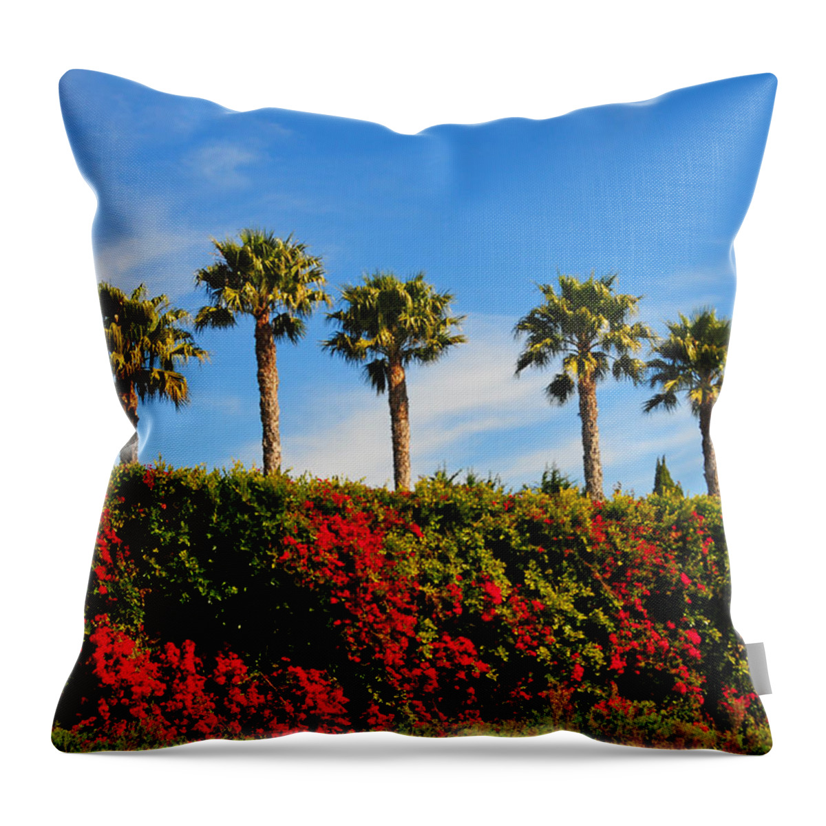 Pt Dume Throw Pillow featuring the photograph Pt. Dume Palms by Lynn Bauer