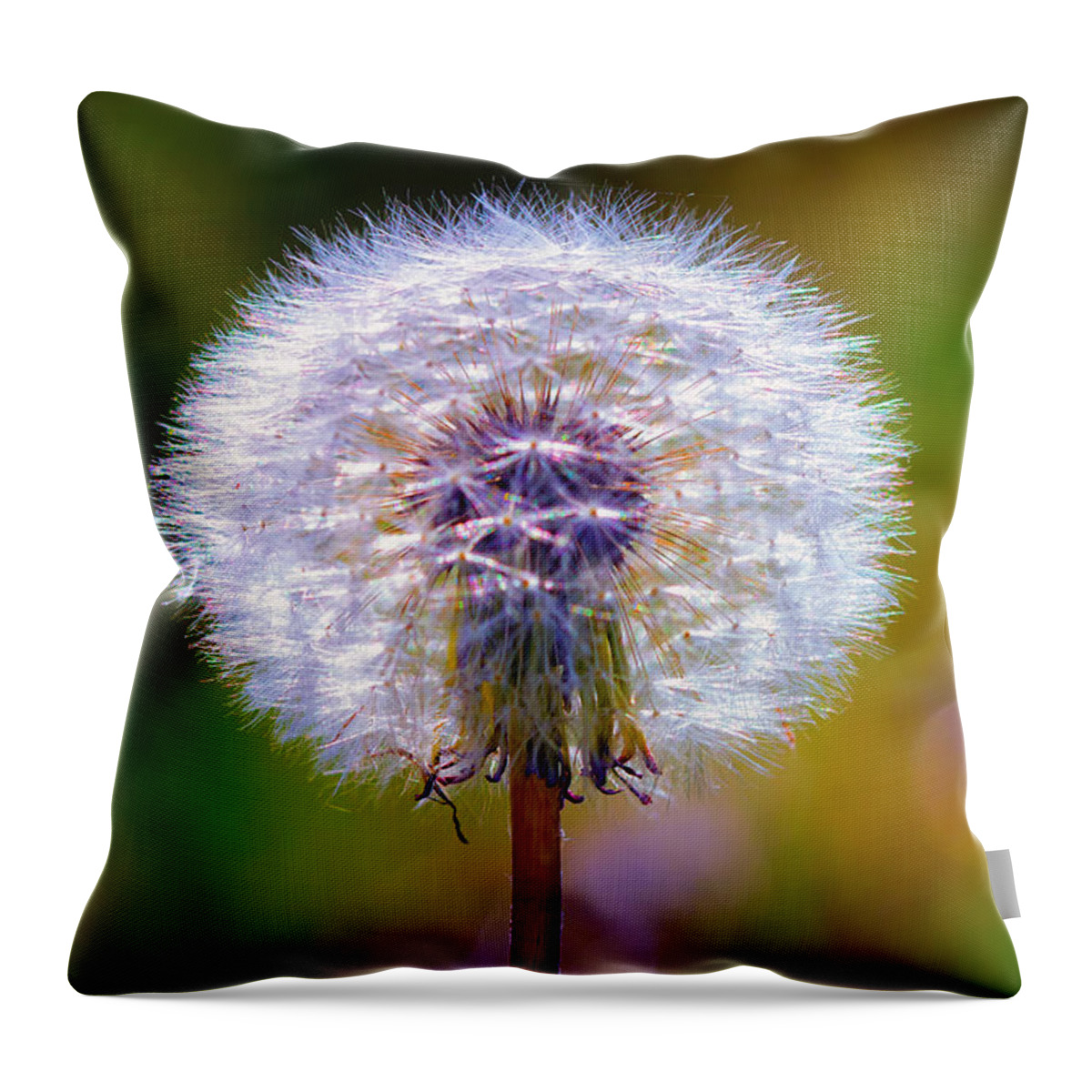 Dandelion Throw Pillow featuring the photograph Puffy Dandelion on Pastels by Bill and Linda Tiepelman